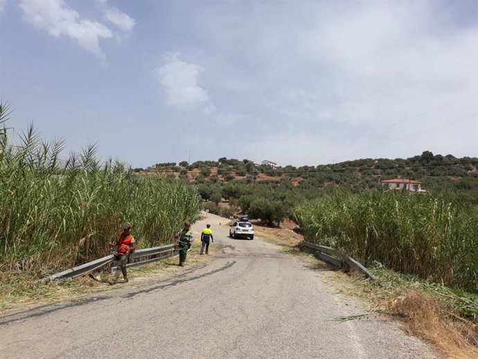 La Diputación invierte 541.000 euros en el desbroce y la limpieza de márgenes de las carreteras provinciales