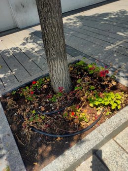 Un Año De Abandono De La Jardinería Y Las Zonas Verdes De Calahorra , Según El PSOE