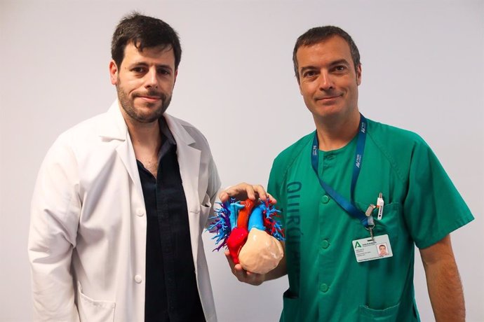 Especialistas de la Unidad del Corazón del Hospital Regional de Málaga con la reconstrucción del corazón de un paciente de 36 años con una cardiopatía congénita compleja mediante impresión 3D