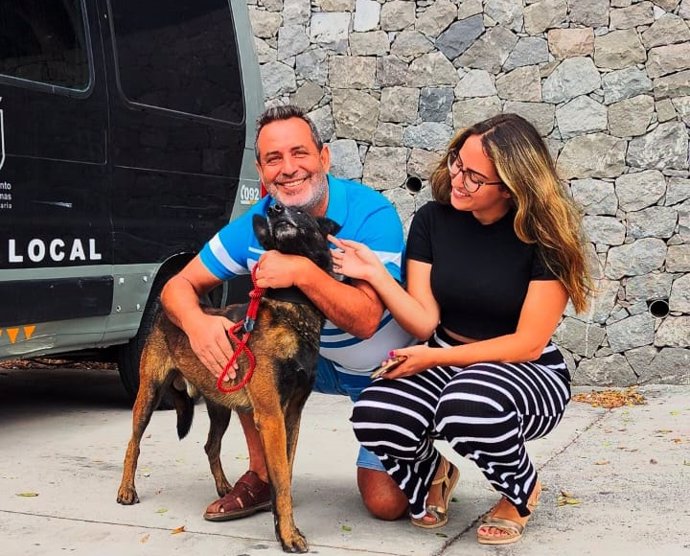 Seal, el pastor belga de la Unidad Canina de la Policía Local de Las Palmas de Gran Canaria que colaboró en la búsqueda de drogas