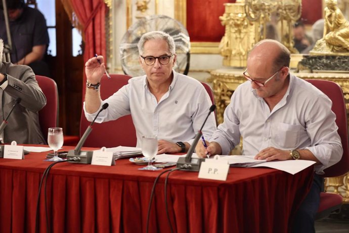 El vicepresidente tercero y responsable de Función Pública y Recursos Humanos de la Diputación de Cádiz, Jacinto Muñoz, durante un pleno provincial. ARCHIVO.