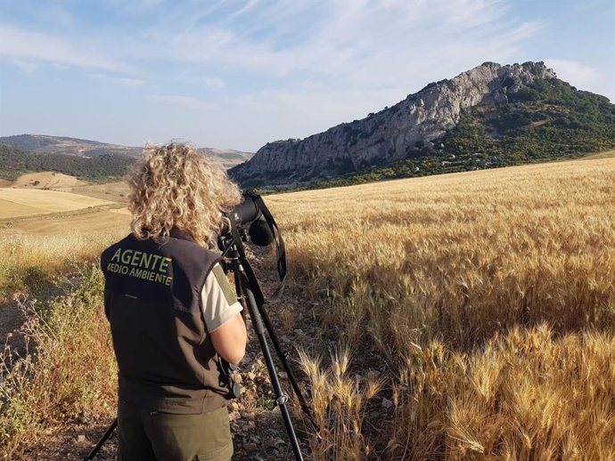 Una agente medioambiental digitalizando el ecosistema de su alrededor.