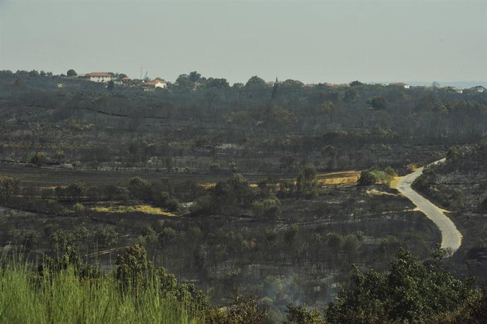 Archivo - Zona quemada por el incendio de Cualedro (Ourense) que sigue sin control desde su inicio el miércoles y que se ha convertido ya en el peor del año, arrasando 1.000 hectáreas, en Cualedro, Ourense, Galicia (España) a 30 de julio de 2020. Este i