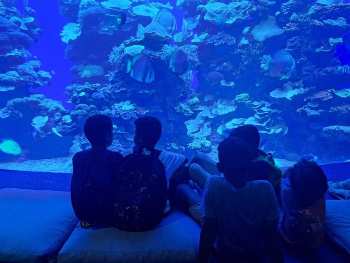 Visita de los niños y niñas del programa 'Vacances en Pau' al Palma Aquarium