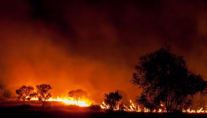 Incendio en sabana
