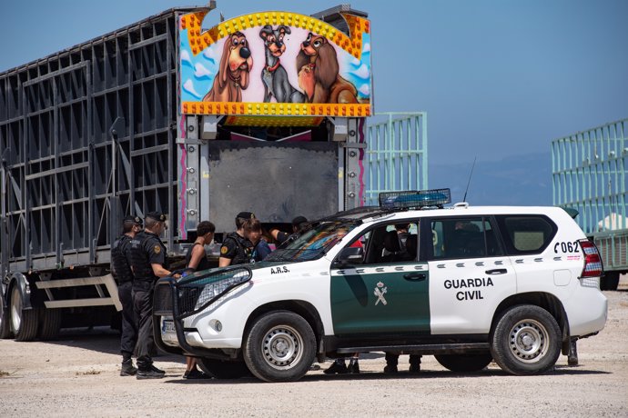 Agentes de la Guardia Civil detienen a un joven migrante que se encontraba escondido en las atracciones de feria para pasar a la península, durante la ‘Operación Feriante’, a 6 de agosto de 2024, en Ceuta (España).