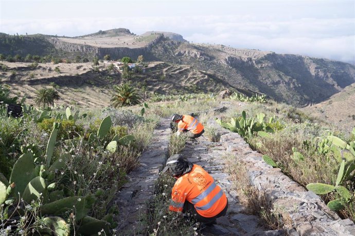 Archivo - Una cuadrilla trabaja en labores de mantenimiento y mejora paisajística y medioambiental en La Gomera