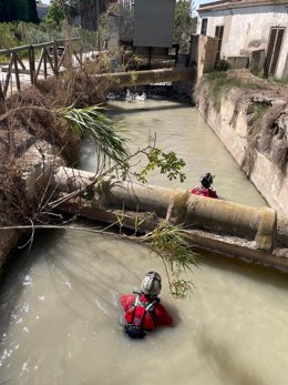 Miembros del operativo de búsqueda del hombre desaparecido en Archena mientras se bañaba en el río Segura