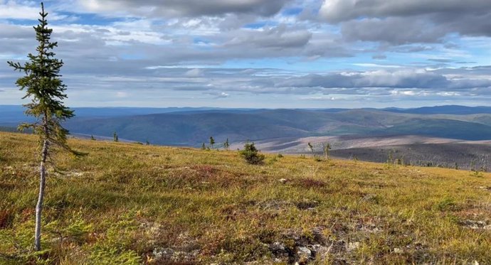 Paisaje en la cicatriz del incendio de Murphy Dome, en las afueras de Fairbanks, Alaska, en agosto de 2022