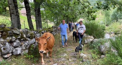 Asturias Rural