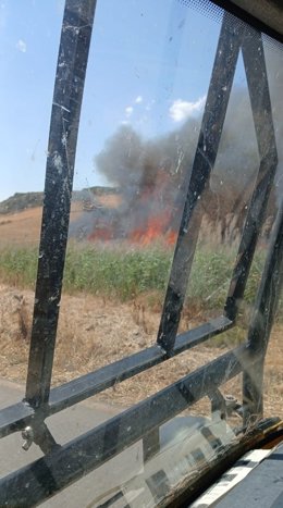 Incendio en Campillos (Málaga)