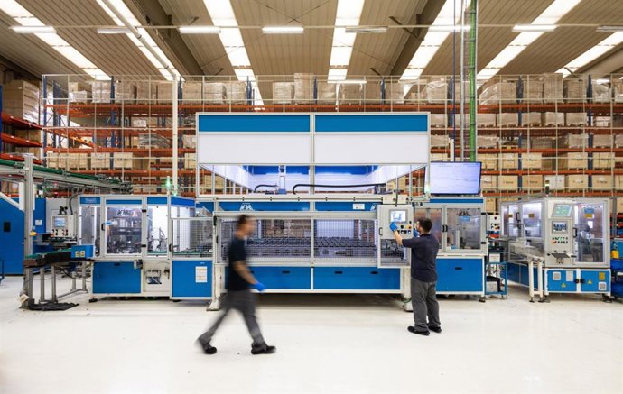 Imagen de una planta de Fersa