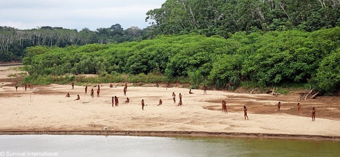 Survival International advierte que si no se respetan los derechos territoriales de pueblos indígenas, desaparecerán