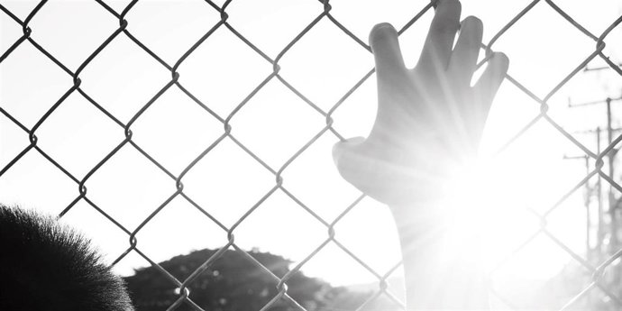 Vídeo de la noticia