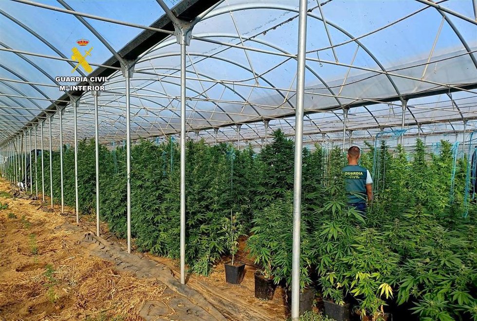 La Guardia Civil interviene 2 toneladas de marihuana en Melide.