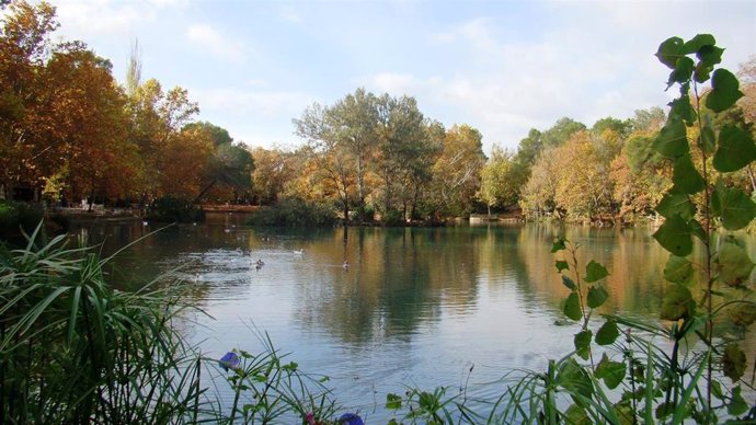 Albufera de Anna (Valencia)