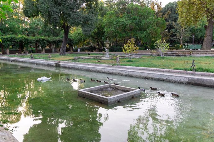 Estanque de los Lotos del Parque de María Luisa.