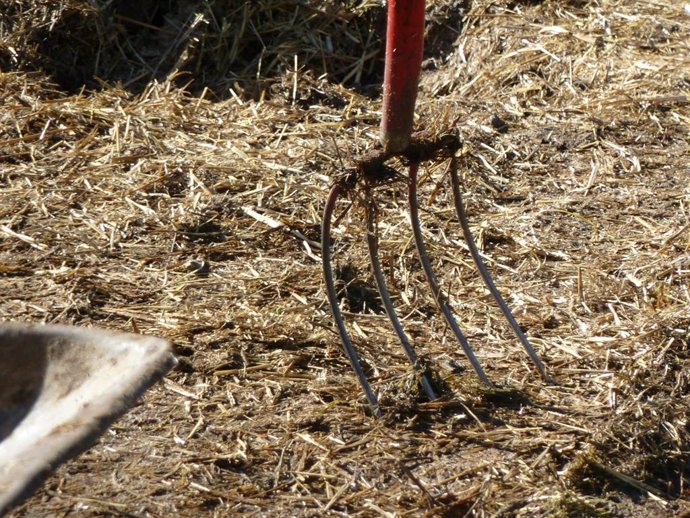 Archivo - Foto recurso de jardineria, agricultura, ganaderia.