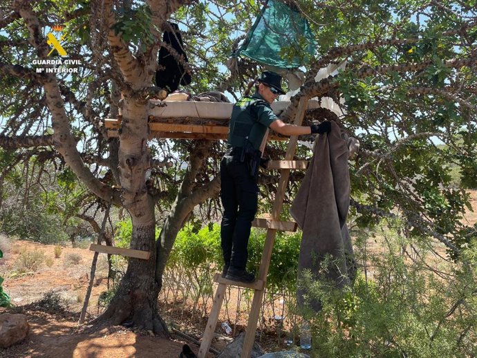 La Guardia Civil ha desmantelado una plantación de cannabis en Alcalá de Xivert y detenido a cinco integrantes por organización criminal