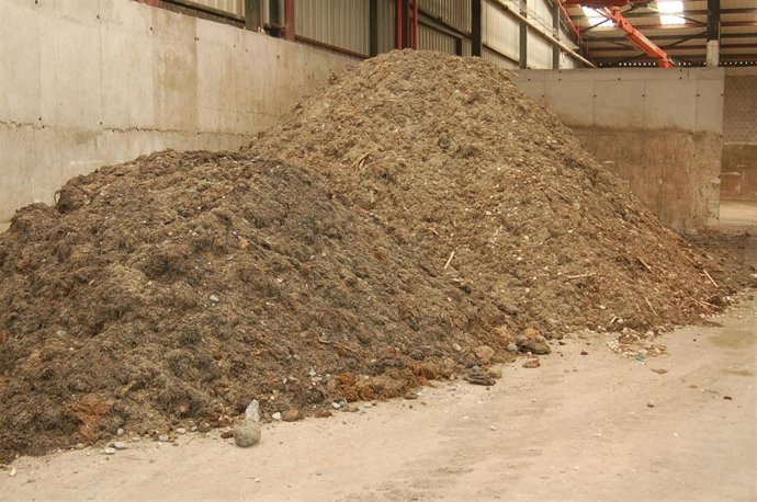 La Mancomunidad Occidental recupera más de 7.200 toneladas de algas entre abril y julio