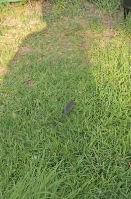 Captura del video aportado por el PSOE para sustentar la denuncia