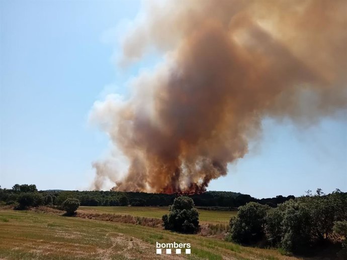 Imagen del incendio de vegetación de Vilanova de Mei (Lleida).