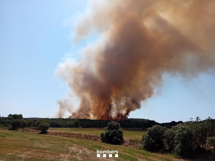 Imagen del incendio de vegetación de Vilanova de Meià (Lleida).