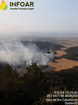 Vídeo de la noticia
