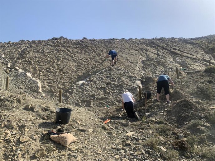 Yacimiento de Miravete.