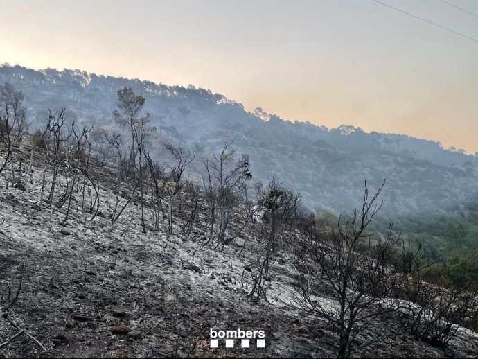 Incendio en Artesa de Segre (Lleida), a 10 de agosto de 2024