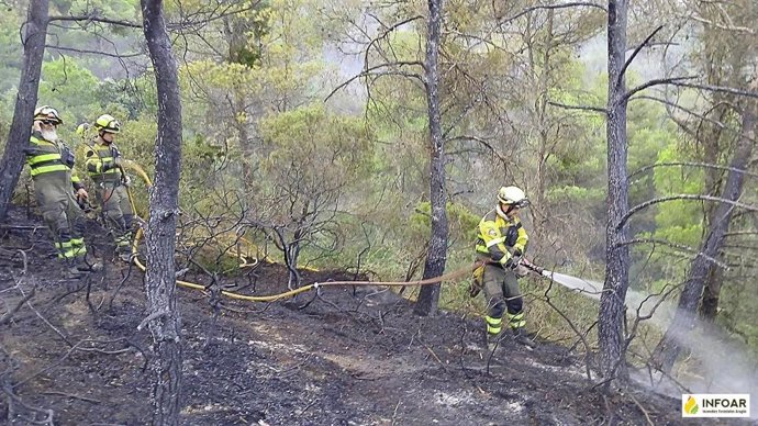 Efectivos de extinción de incendios trabajando en Castejón de Valdejasa