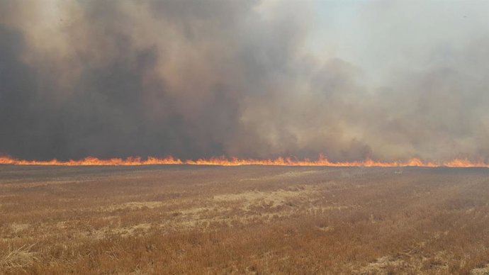 Imagen de archivo del incendio del pasado mes de julio en la vecina localidad de Biota, en la comarca de las Cinco Villas.