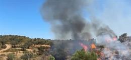 Incendio forestal declarado en San Silvestre de Guzmán.