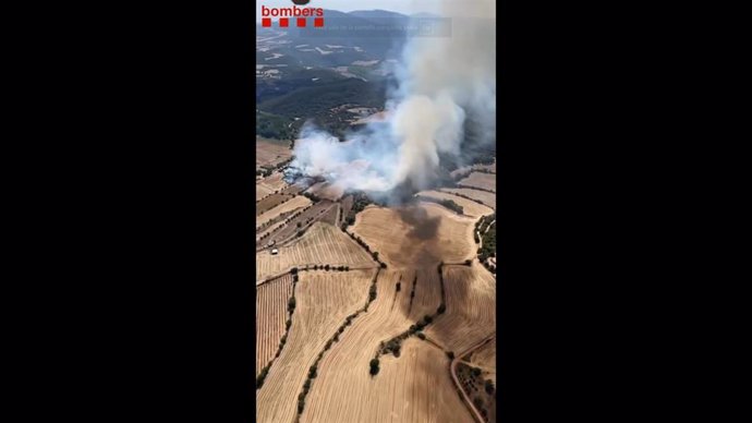 Incendio de vegetación en Foradada (Lleida) con focos secundarios, a 10 de agosto de 2024