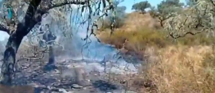 El incendio en San Silvestre de Guzmán estabilizado.