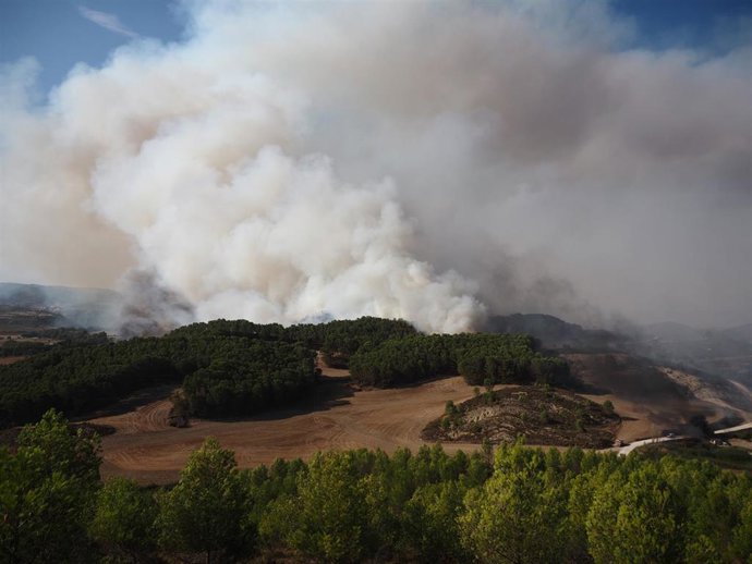 Archivo - Incendio en el norte de Artajona - Archivo