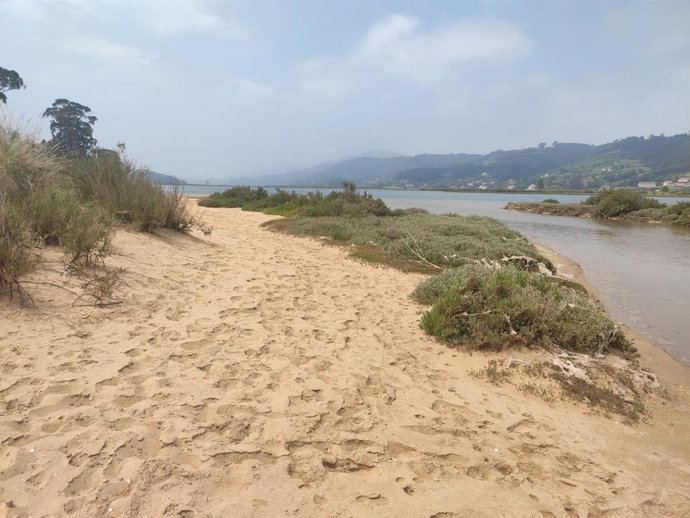 Archivo - Ría de Villaviciosa