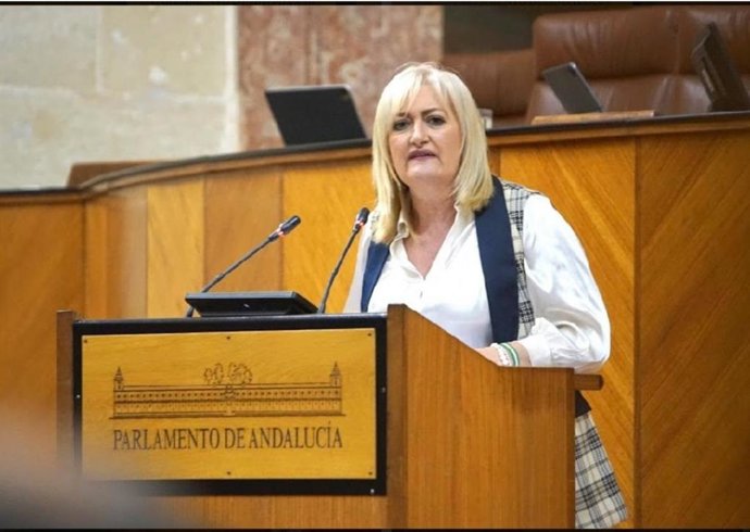 La parlamentaria del PP-A Celia Santiago, en una imagen de archivo.