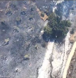 Zona afectada por el incendio originado este domingo en el término municipal de Zafra (Badajoz)