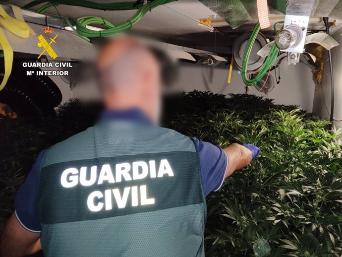 A prisión dos hombres tras desmantelar una plantación de marihuana en un chalet en Calp