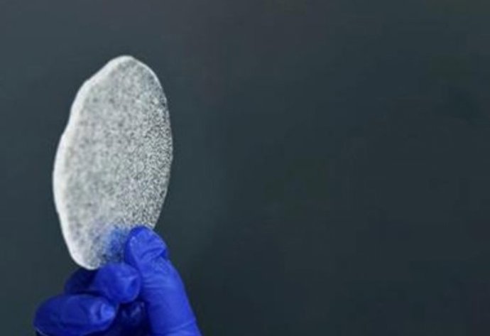 Incendios históricos atrapados en el hielo antártico brindan información clave para los modelos climáticos