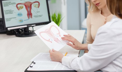 Investigación