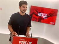 El PSOE de Sevilla considera que el Gobierno andaluz del PP "lastra a la juventud" a base de "privatizaciones"