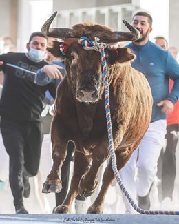 Imagen de archivo del 'Torico' de Chiva