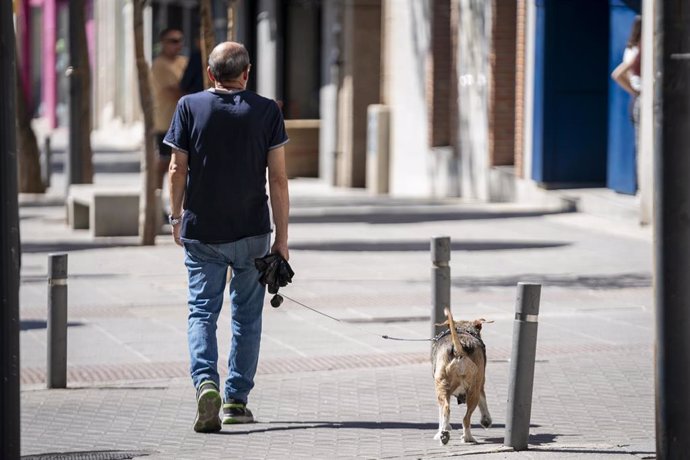 Archivo - Un hombre pasea a un perro el día en el que entra en vigor la Ley del Bienestar Animal, a 29 de septiembre de 2023, en Madrid (España). 