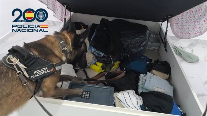 Perro de la Policía Nacional durante una operación para desarticular un entramado criminal que explotaba a toxicómanos para la venta de droga