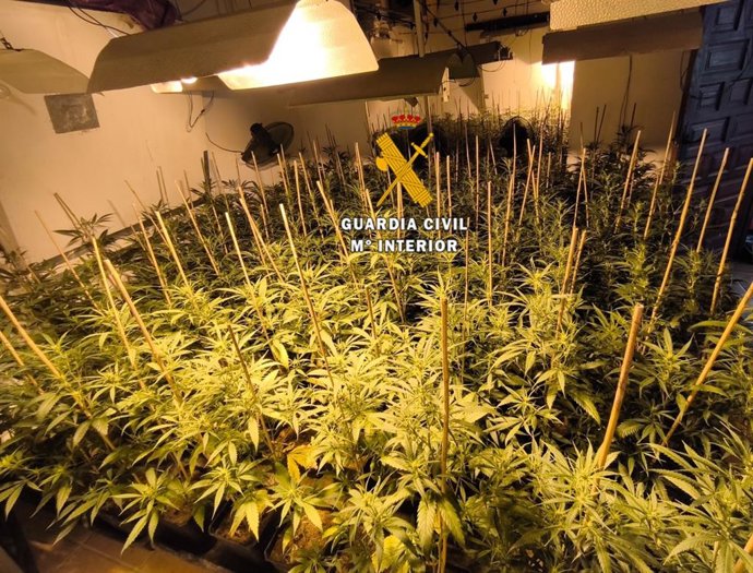 Tres detenidos tras desmantelar plantaciones de marihuana indoor en la comarca del Valle del Gualhorce