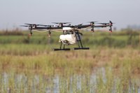 Refuerzan con drones el tratamiento contra los mosquitos que propagan el virus del Nilo