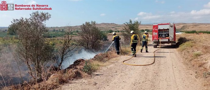 Extinguido un incendio de vegetación en una zona de regadío en Lodosa