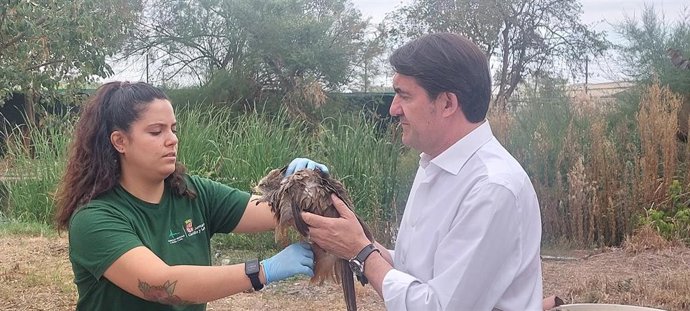Suarez Quiñones asiste a la suelta de un Milano Negro en el CRAS de Valladolid